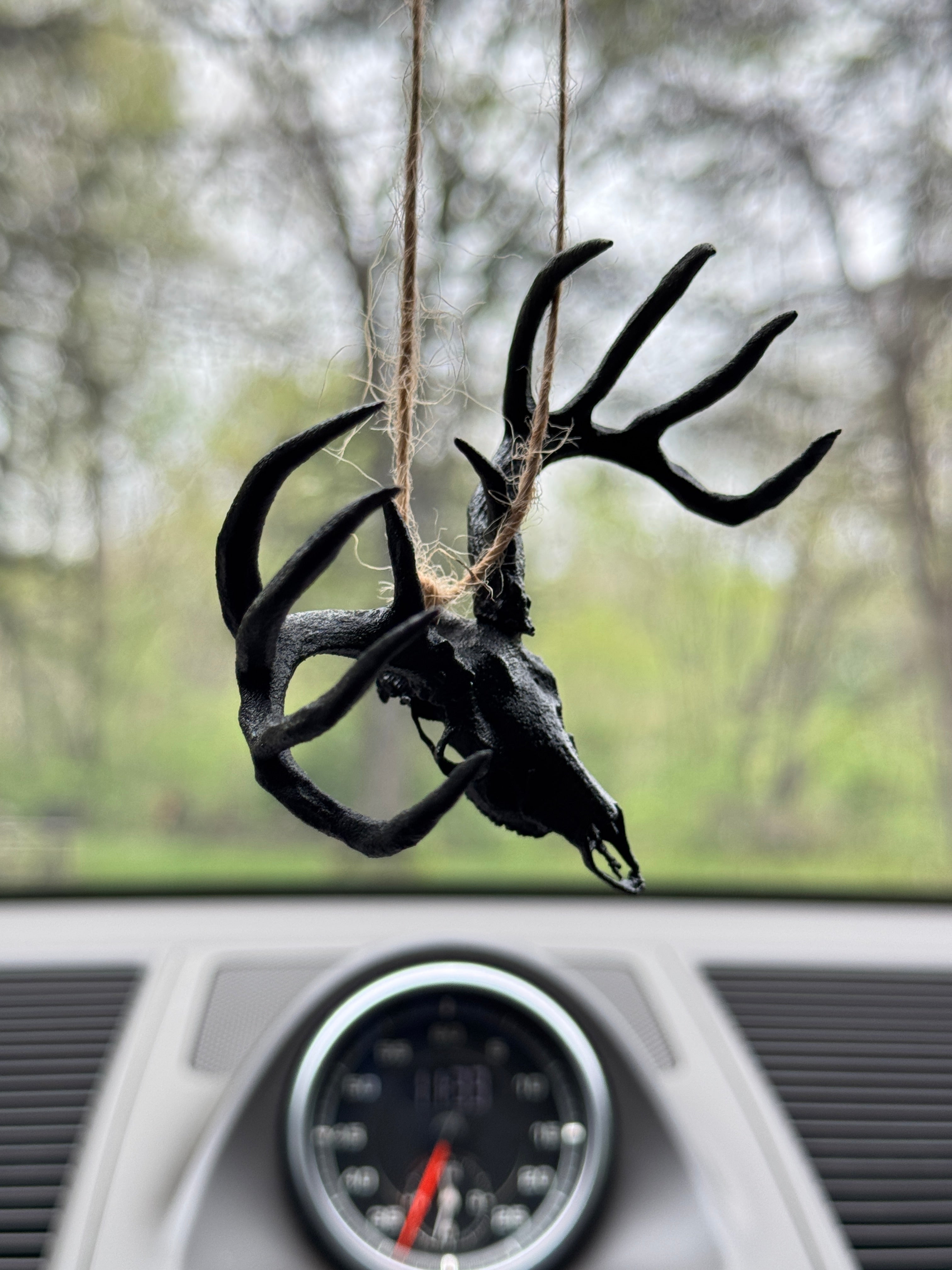 Mini Whitetail Deer Euro Mount - Blackout Edition