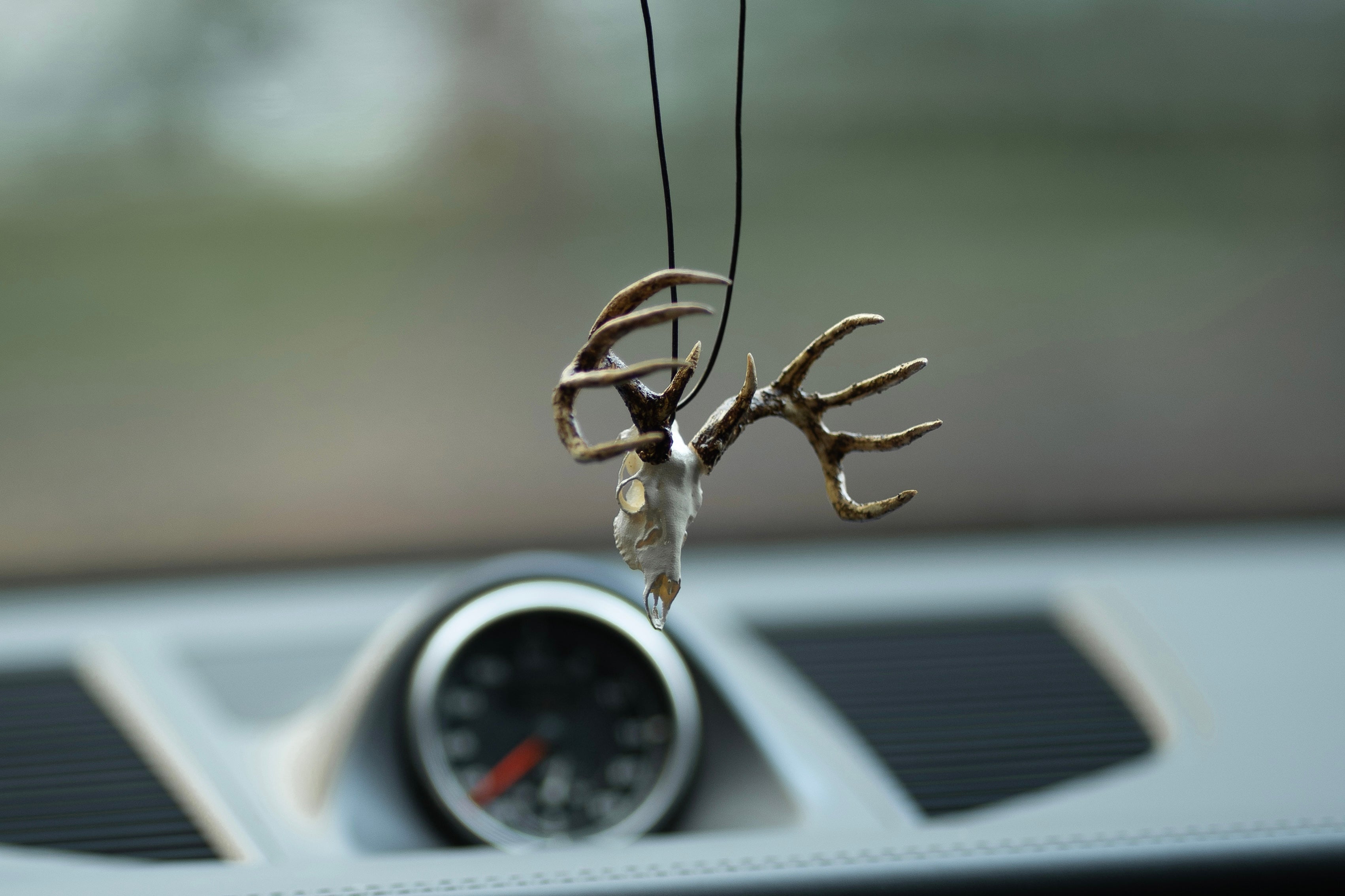 Car dashboard with a deer head mount ornament hanging from the rearview mirror.