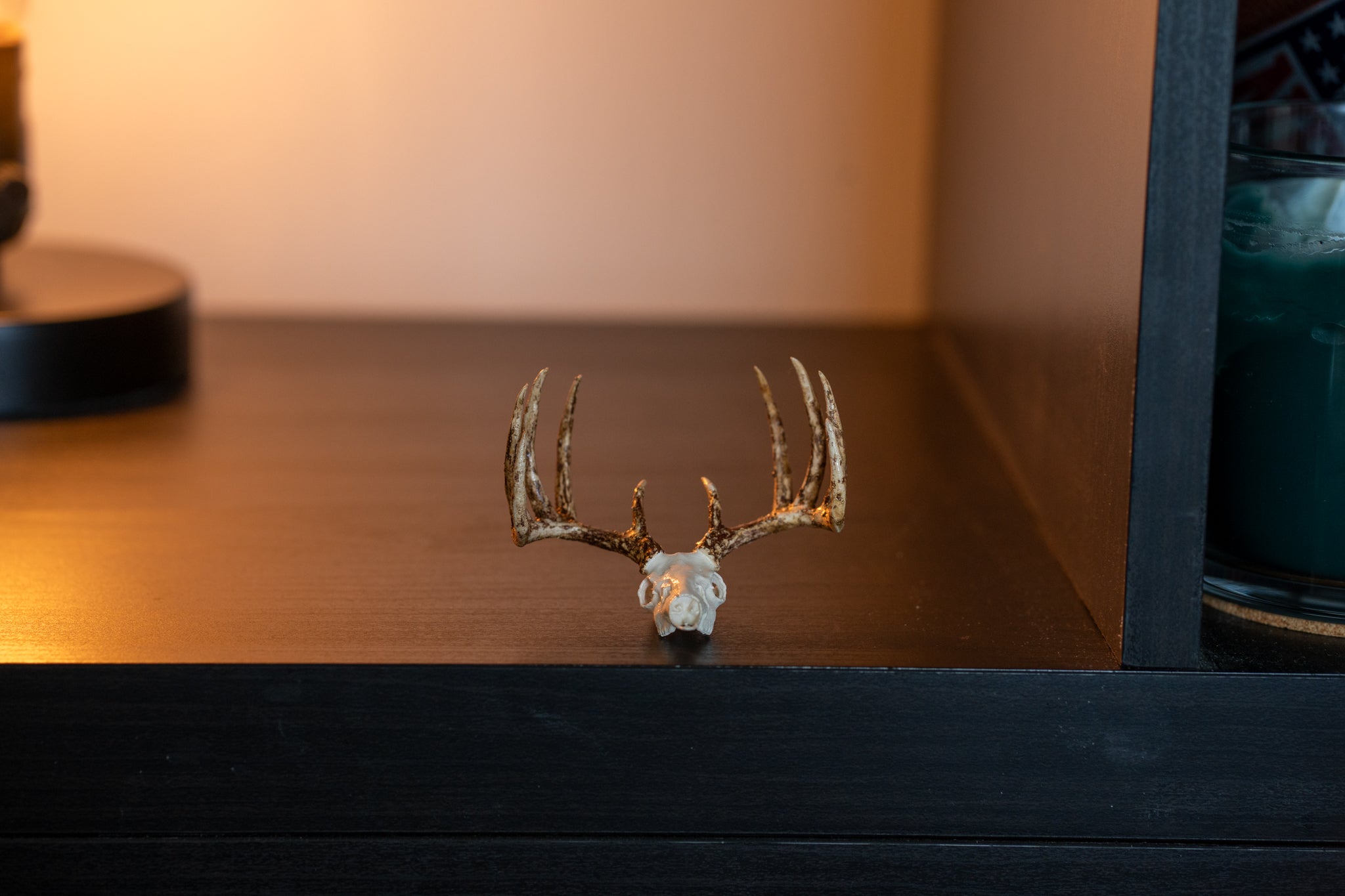 Mini Whitetail Deer Euro Mount - Hand Painted