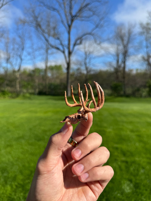Hand holding a small metallic object against a natural background with trees and grass.