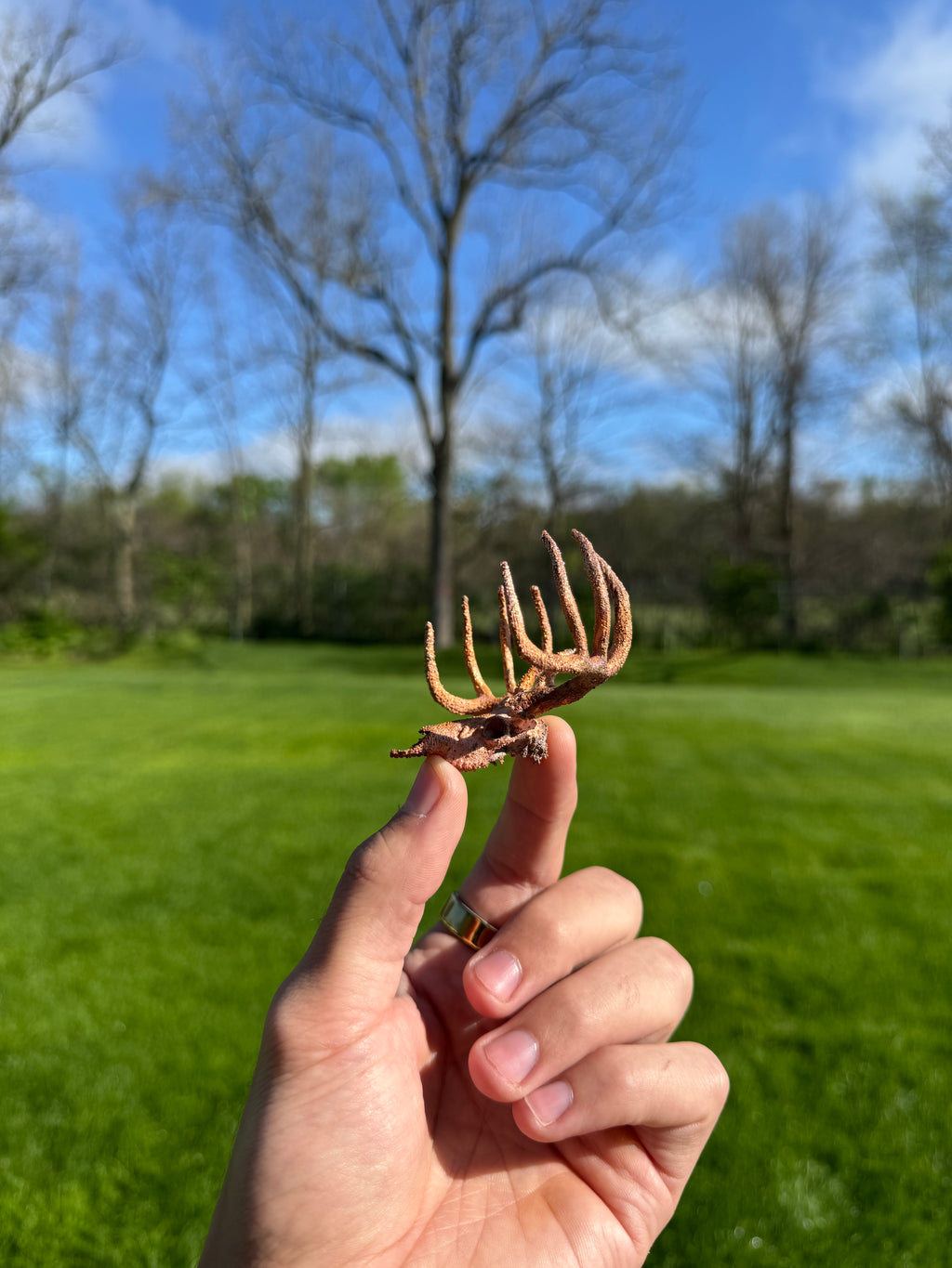 Person holding a small metal object with trees and grass in the background