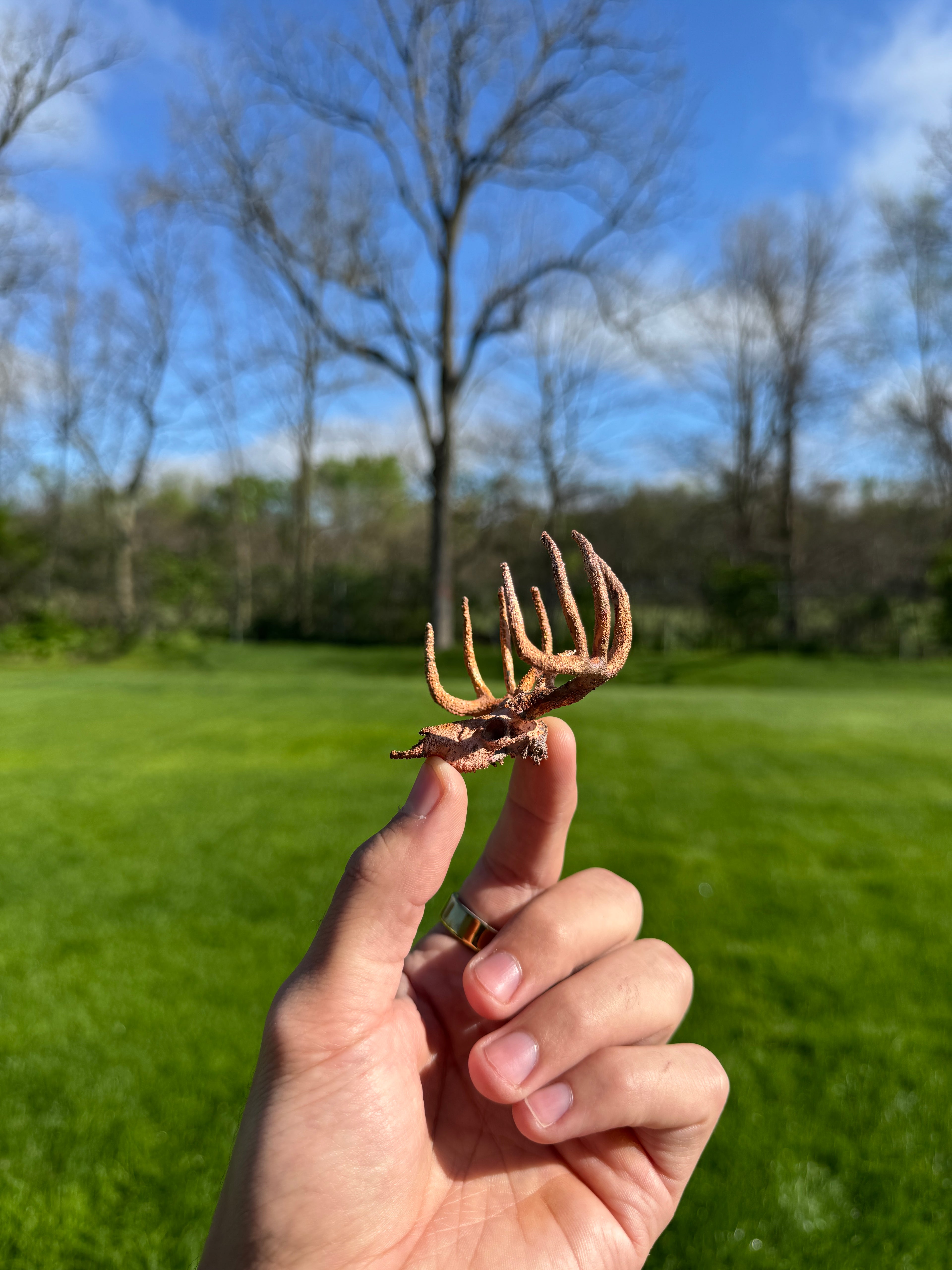 Person holding a small metal object with trees and grass in the background