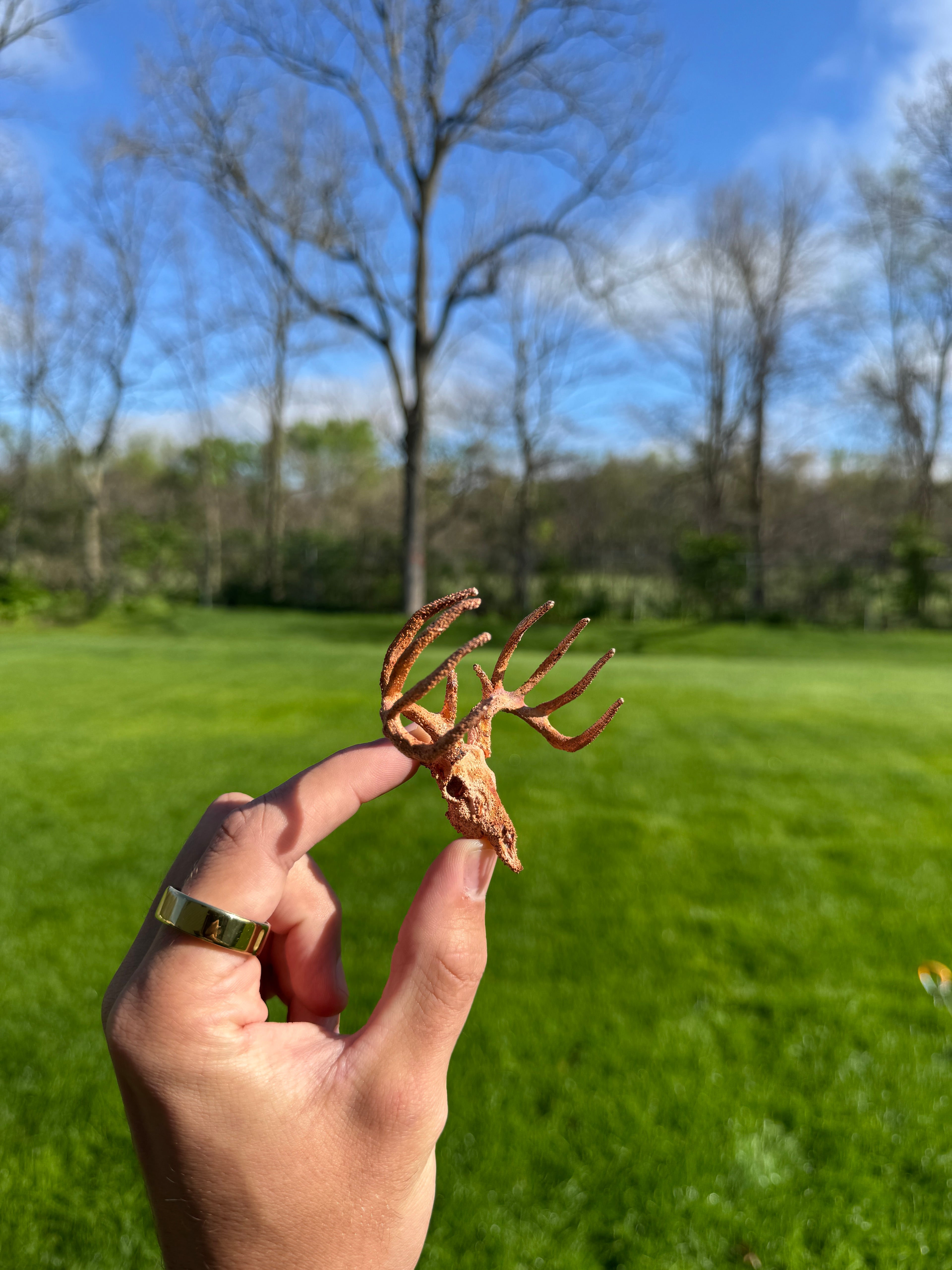 Hand holding a small bronze crab sculpture with a park background
