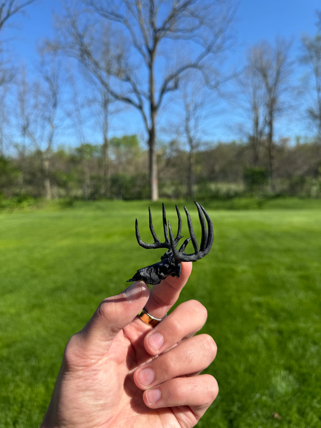 Mini Whitetail Deer Euro Mount - Blackout Edition
