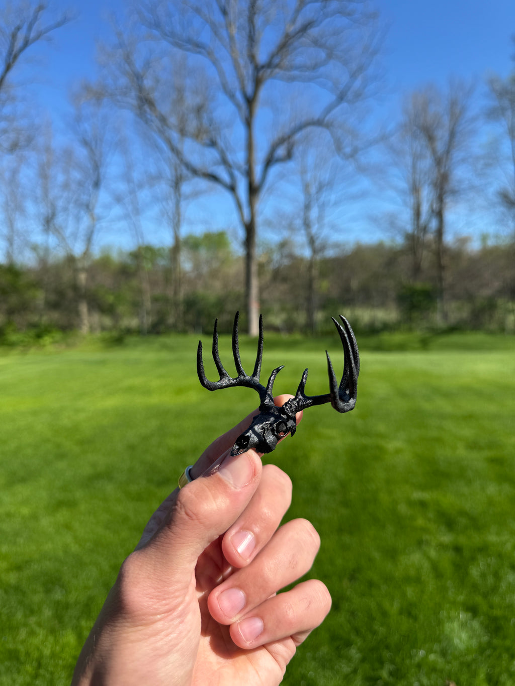 Mini Whitetail Deer Euro Mount - Blackout Edition