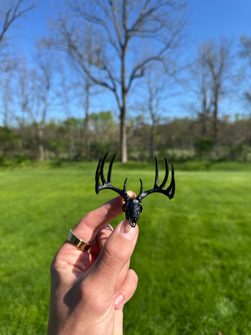 Mini Whitetail Deer Euro Mount - Blackout Edition