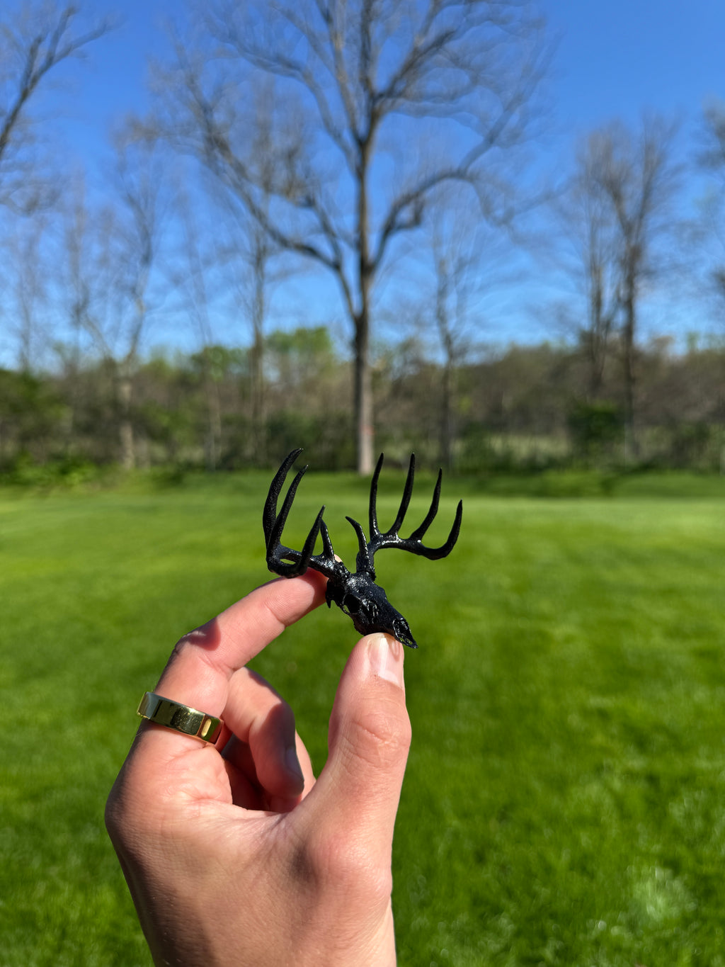 Mini Whitetail Deer Euro Mount - Blackout Edition