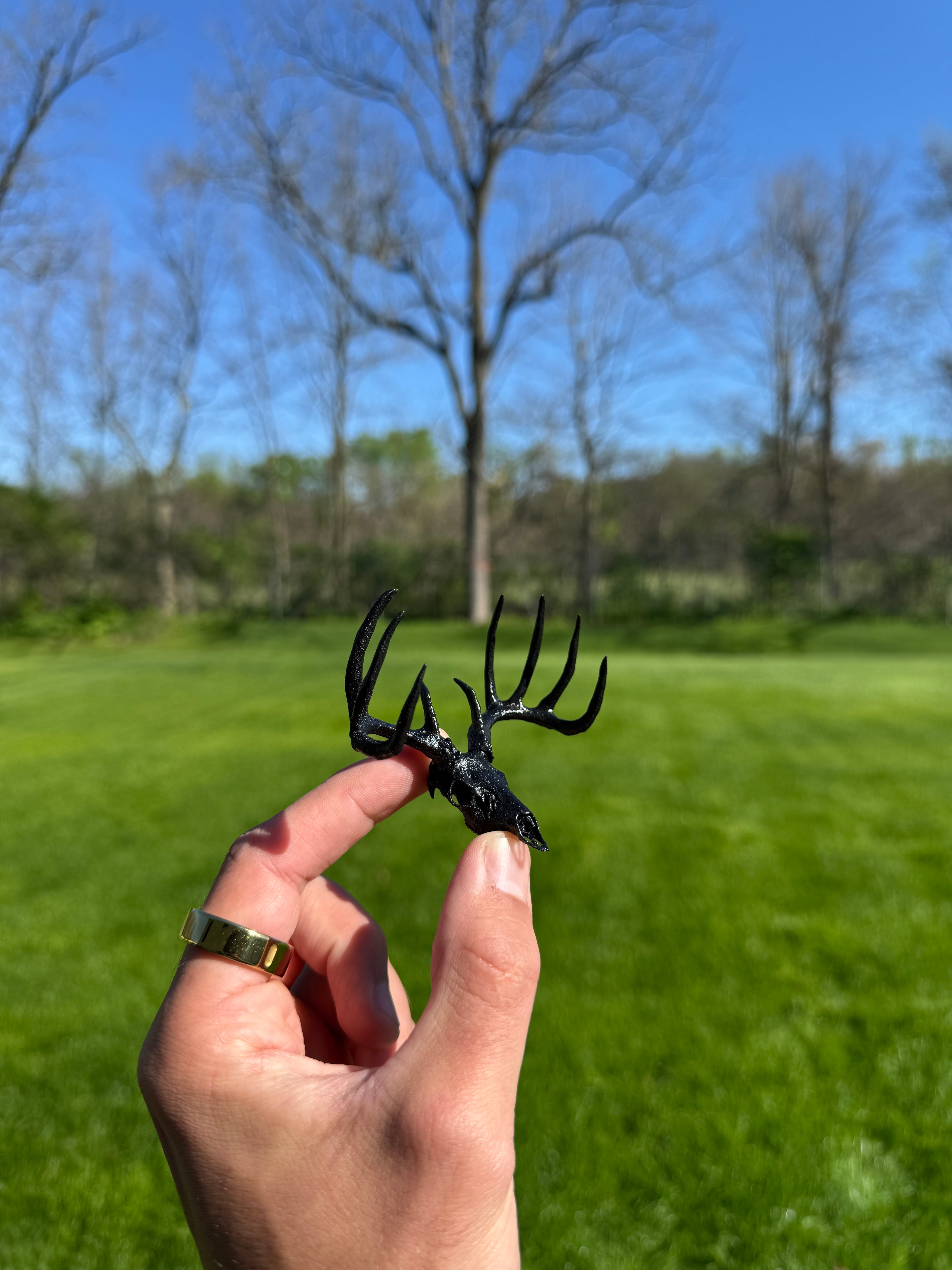 Mini Whitetail Deer Euro Mount - Blackout Edition