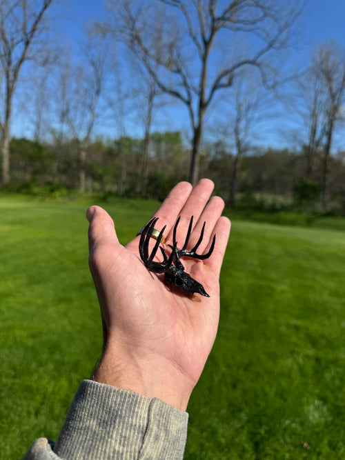 Mini Whitetail Deer Euro Mount - Blackout Edition