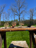 Mini Whitetail Deer Euro Mount – 4-Pack Bundle