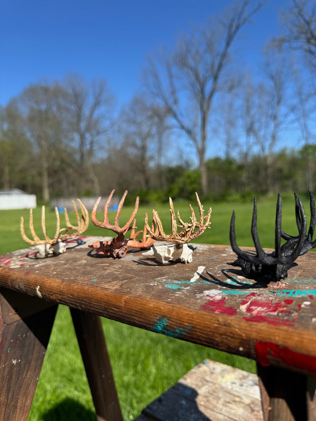 Mini Whitetail Deer Euro Mount – 4-Pack Bundle