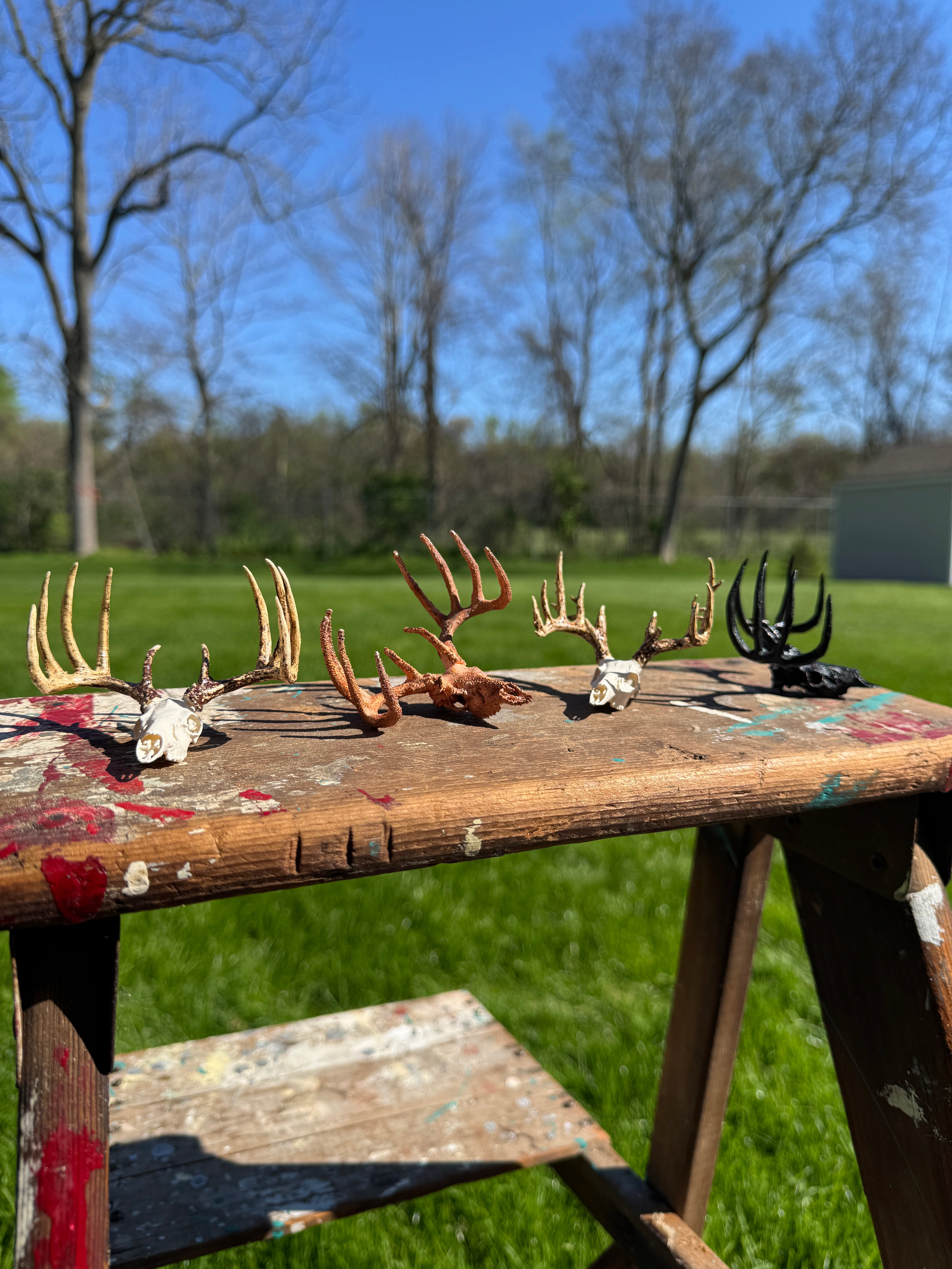 Mini Whitetail Deer Euro Mount – 4-Pack Bundle