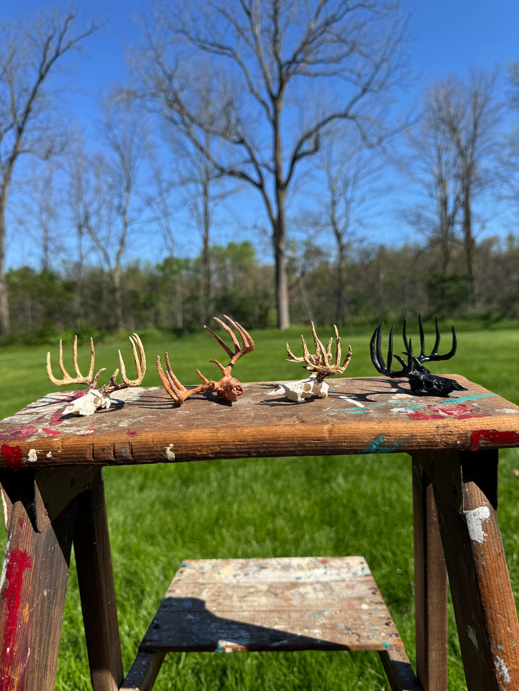 Mini Whitetail Deer Euro Mount – 4-Pack Bundle