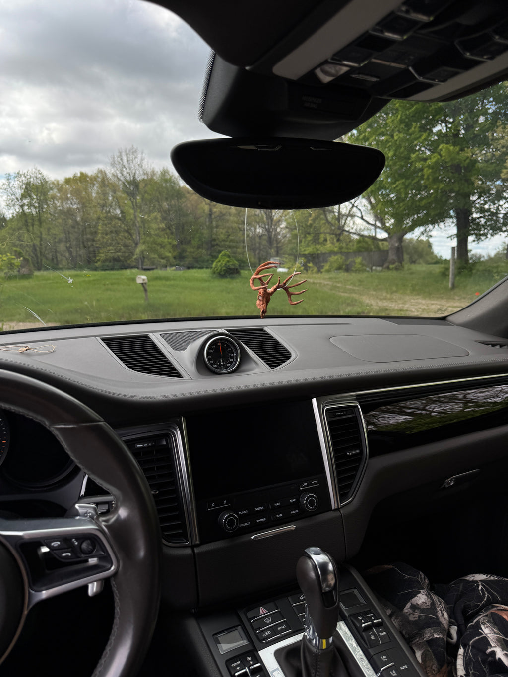 Mini Whitetail Deer Euro Mount - Copper Plated
