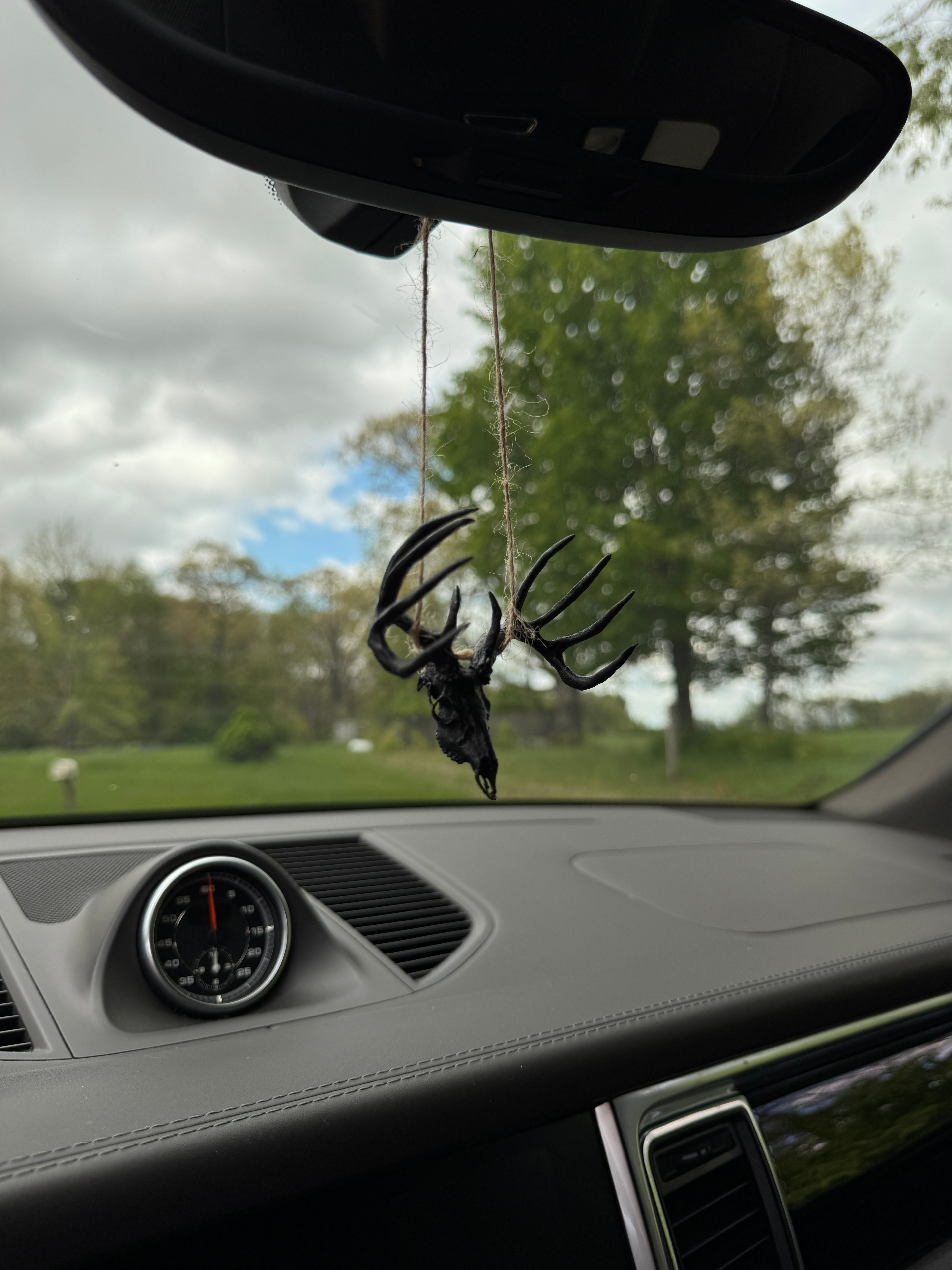 Mini Whitetail Deer Euro Mount - Blackout Edition