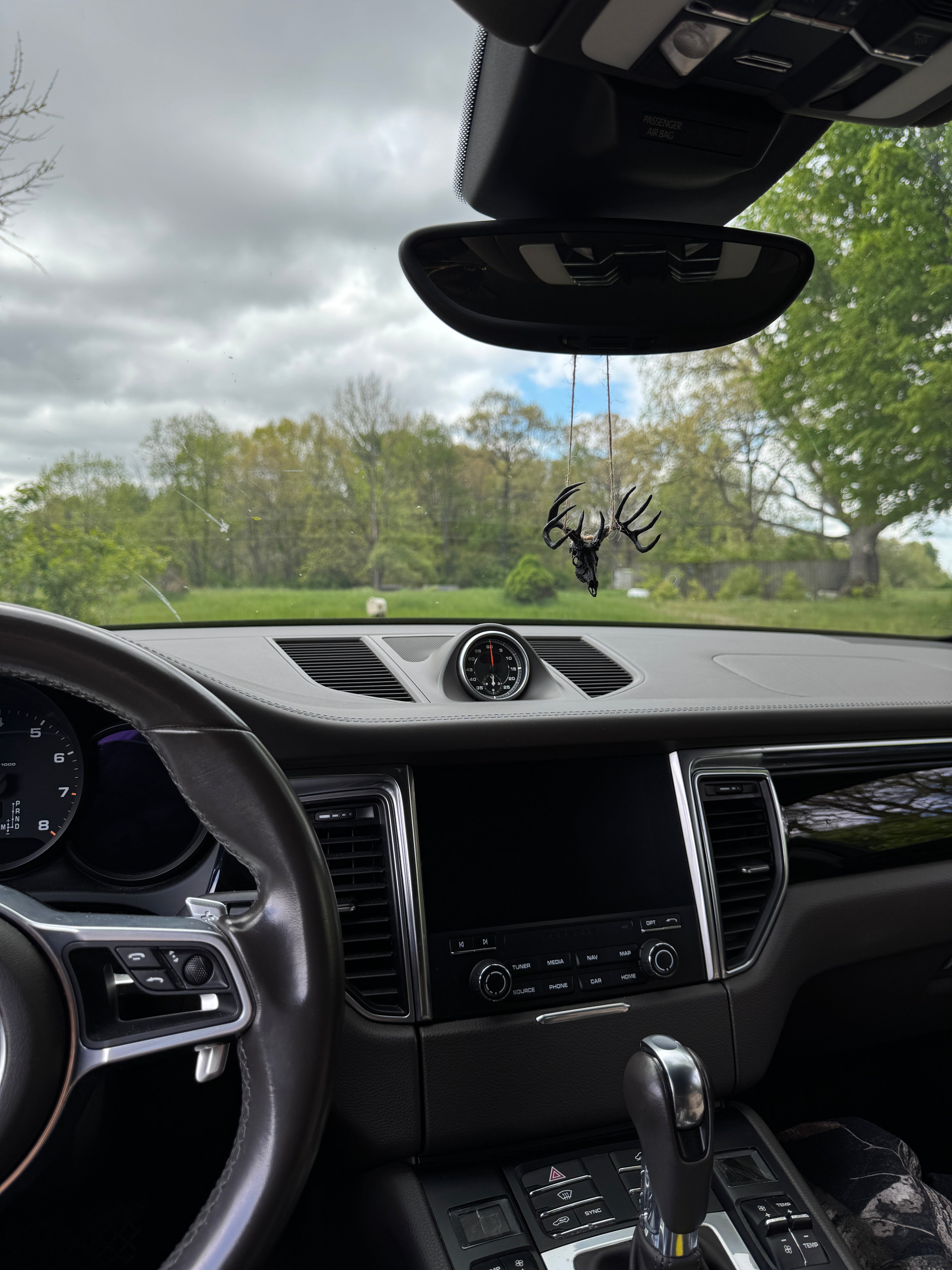 Mini Whitetail Deer Euro Mount - Blackout Edition