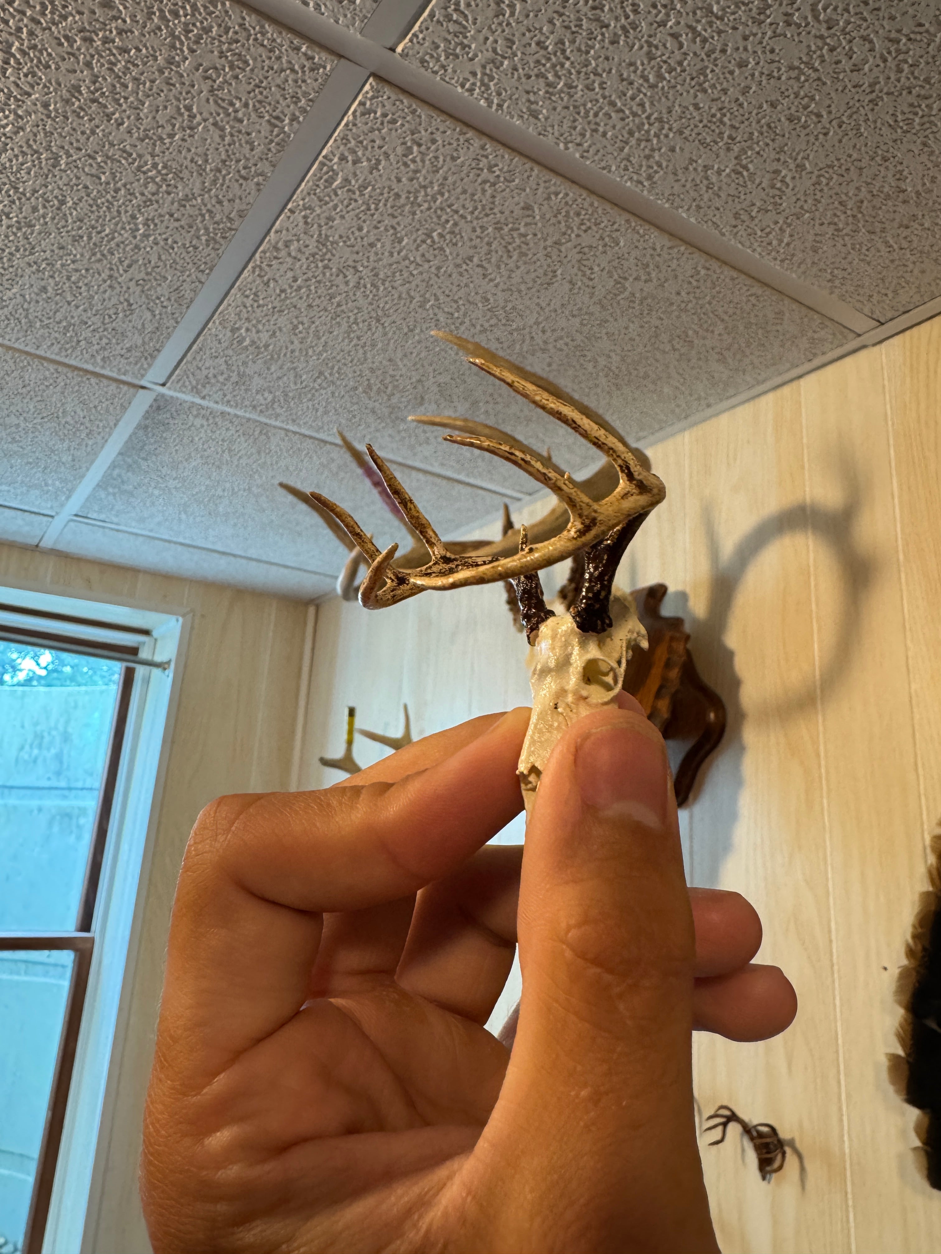 Replicate Your Buck